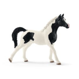 PINTABIAN PASTUV 13840