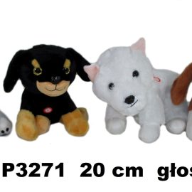 PAS 163905