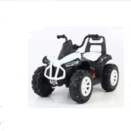 MOTOR 134 BELI