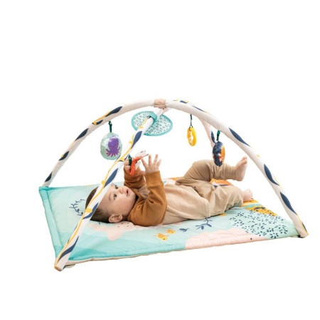 INFANTINO GIMNASTIKA MORSKI 22115379