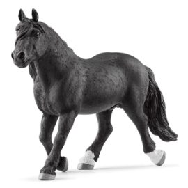 PASTUV NORIKER 13958