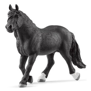 PASTUV NORIKER 13958
