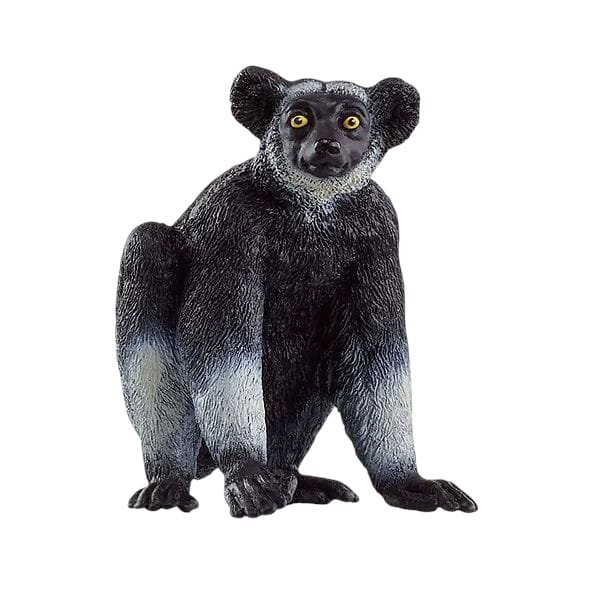 INDRI 14877