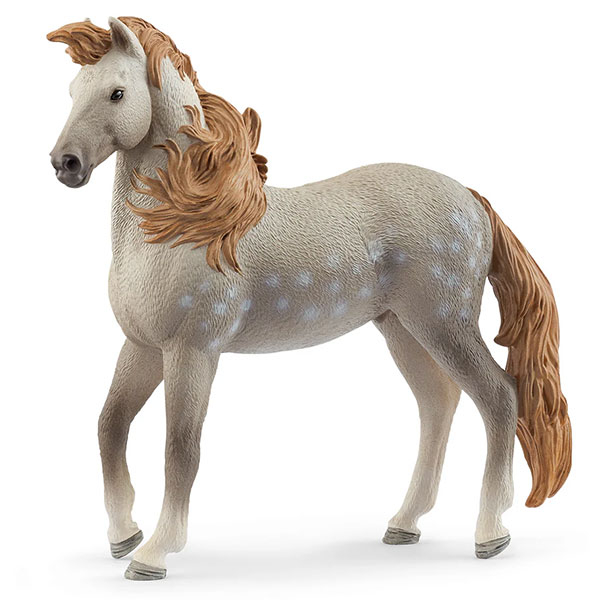 ANDALUSIAN PASTUV 14895