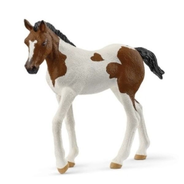 PAINT KONJ ZDREBE 14899