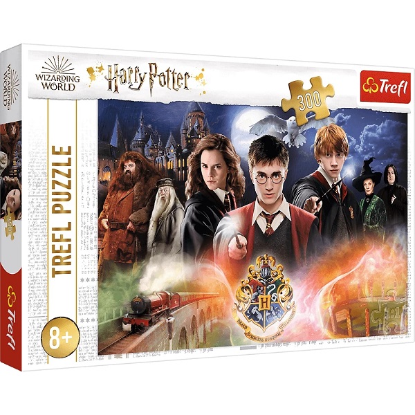 PUZZLE 300 POTTE23001 102700