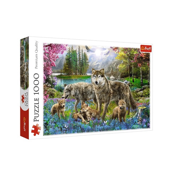 PUZZLE 1000 FAMILI 103749