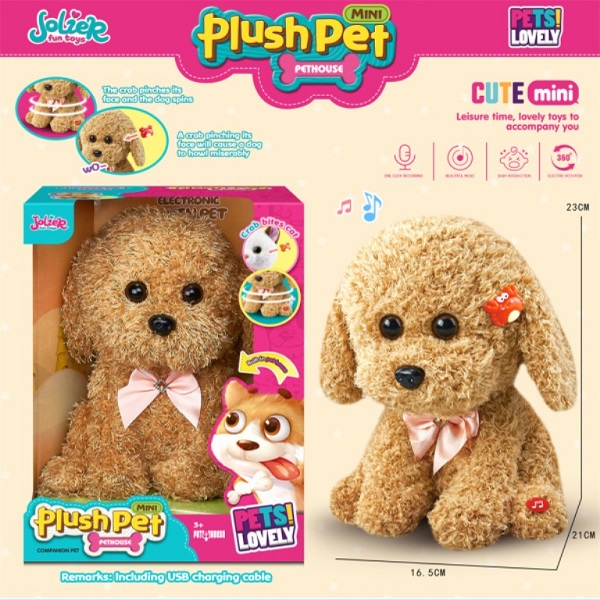 KUCA SNIMA I PONAVLJA 230135