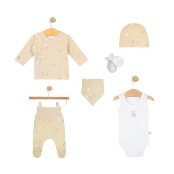 SET B. 6/1 VEL.62   17001954